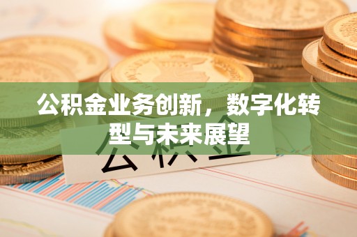 密山公积金业务创新，数字化转型与未来展望